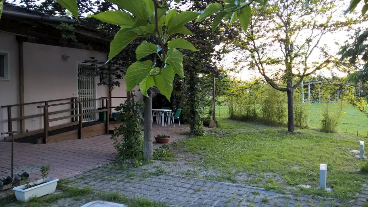 Rose Canine B&B تْشيزيناتيكو المظهر الخارجي الصورة