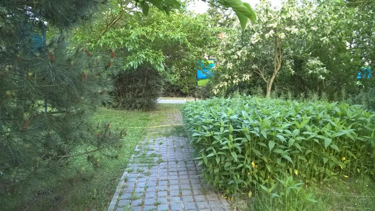 Rose Canine B&B تْشيزيناتيكو المظهر الخارجي الصورة
