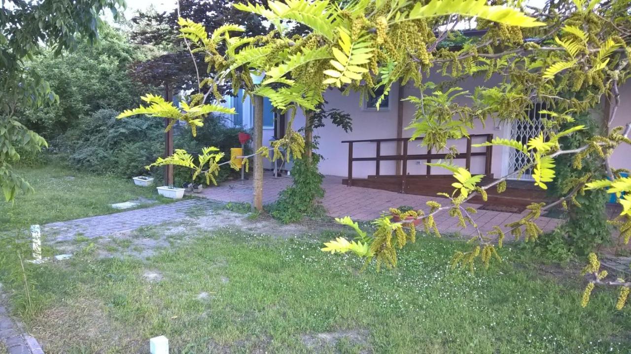 Rose Canine B&B تْشيزيناتيكو المظهر الخارجي الصورة